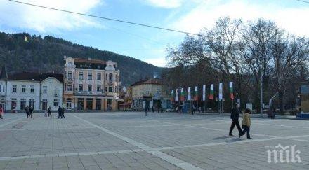 премахват опасни дървета кюстендил