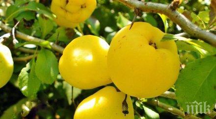 жени искате красиво бебе яжте дюли