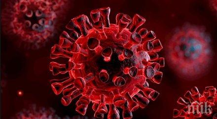 криза една болница ямбол приема болни коронавирус инфекциозното почти пълно