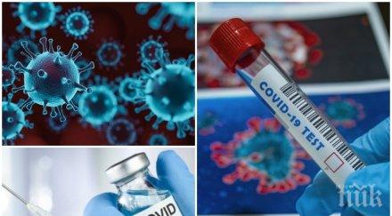 голямо изследване imperial college опроверга доц мангъров стаден имунитет covid непостижим