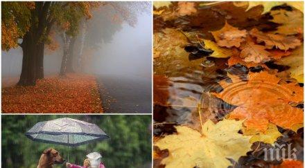 времето обръща денят започва гъсти мъгли облаците носят дъжд карта