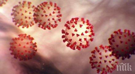 жертви коронавируса москва денонощие