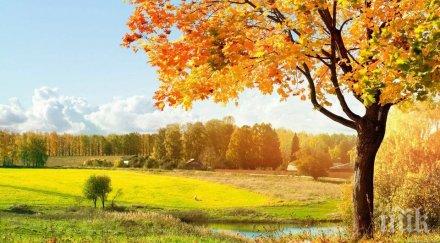 звездите говорят повишава романтичната нагласа хората гледат света розови очила