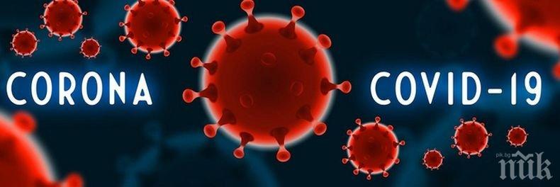 Над 250 починали от усложнения, предизвикани от коронавируса във Франция за денонощие