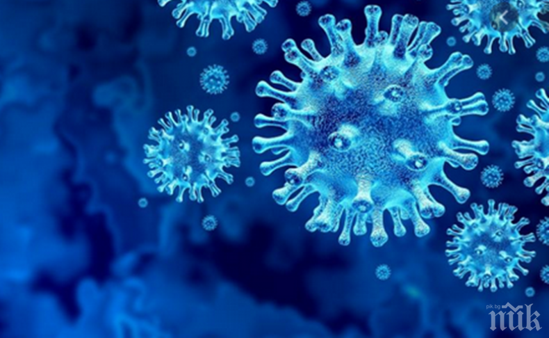 Вълна от COVID-19 в Славия