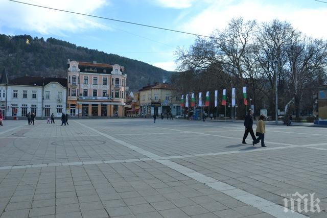 Премахват опасни дървета в Кюстендил