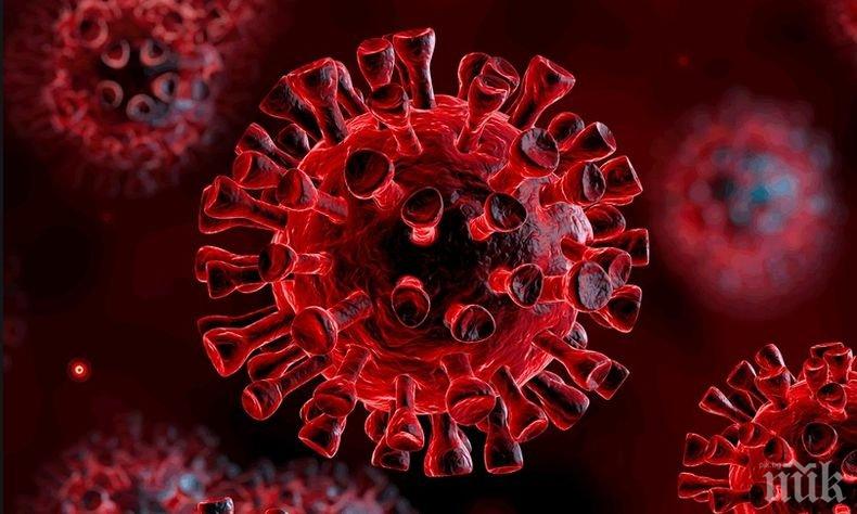 КРИЗА: Само една болница в Ямбол може да приема болни от коронавирус, но Инфекциозното е почти пълно