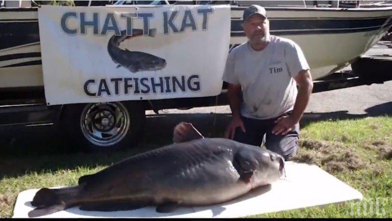 Рибар от Флорида хвана 50-килограмов сом