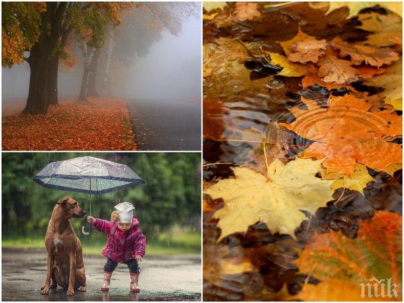 ОБЛАЦИТЕ СЕ СГЪСТЯВАТ! Сутрешни мъгли застилат низините и поречията, дъжд и сняг - в планините (КАРТИ)