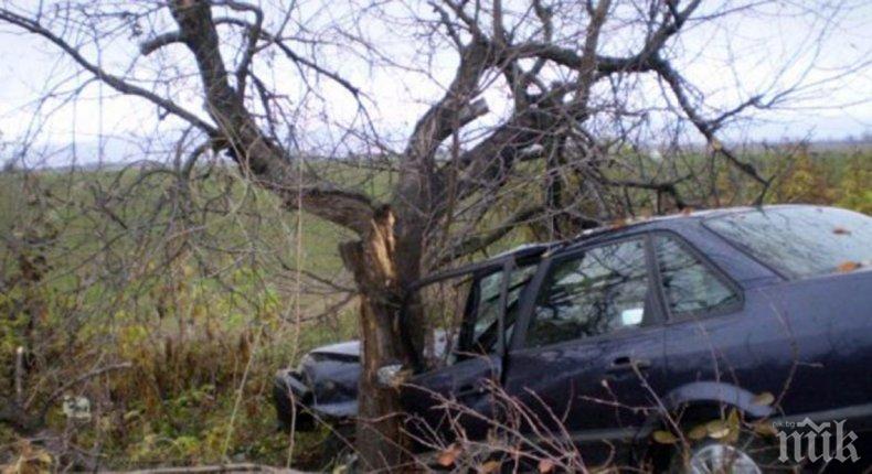 Млада жена се разби в дърво при катастрофа до Стара Загора