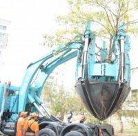 Във Варна преместват и спасяват дървета със специална машина