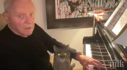антъни хопкинс честити деня котката изпълнение пиано дома видео