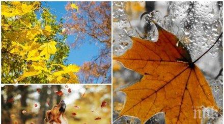 златен ноември понеделникът носи слънце хубаво време карта