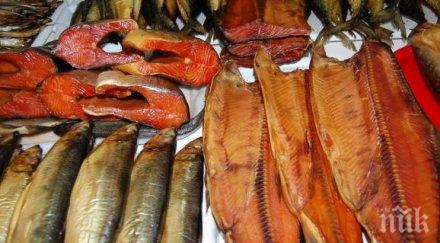 враца натровиха риба кулинарен фестивал