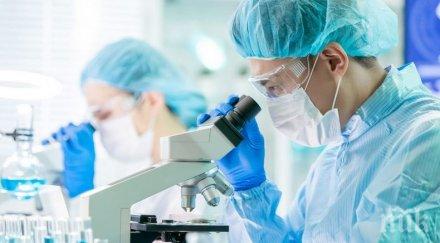 коронавирусът уби грипа процента случаи болестта година