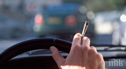 студентски град рисков дрогирани шофьори