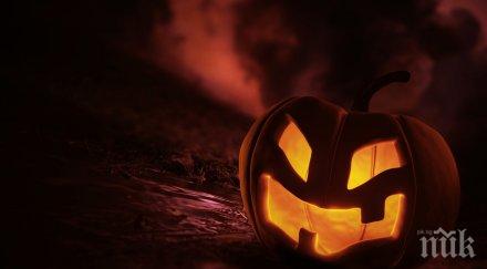 зодии обожават хелоуин