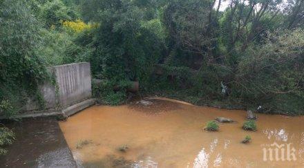 русенски лом отново потече цветове