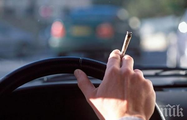 Студентски град най-рисков за дрогирани шофьори
