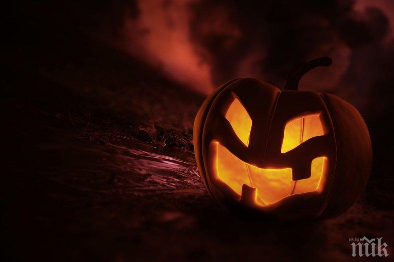 Тези зодии обожават Хелоуин