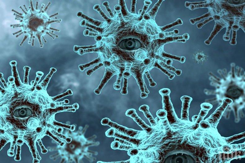 Нов рекорд на заразени от COVID-19 в САЩ и Италия