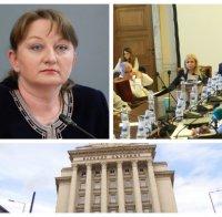 Приет е Правилник за прилагане на Закона за социалните услуги