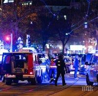 Австрия с тридневен траур след кървавия атентат 
