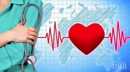кардиолози създадоха лепенка увредено сърце инфаркт