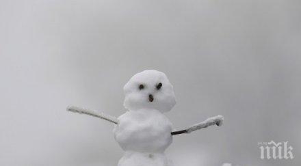 зодии понасят студа