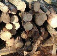 Агенцията по горите пропищя от бракониери