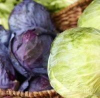 Откраднаха голямо количество зеле от земеделец