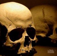 ЗЛОВЕЩА НАХОДКА: Откриха човешки череп край село Каменик
