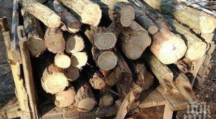 агенцията горите пропищя бракониери