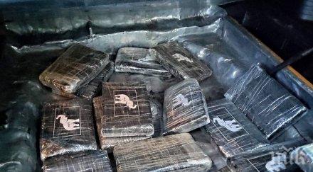 голям удар полицията белгия откриха 115 тона кокаин