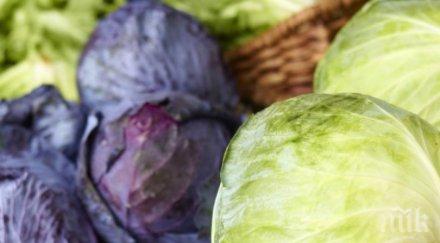 откраднаха голямо количество зеле земеделец