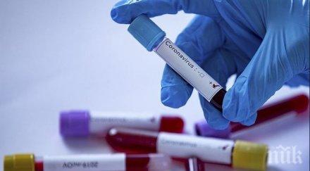 ужас болницата смолян шестима пациенти коронавирус починали