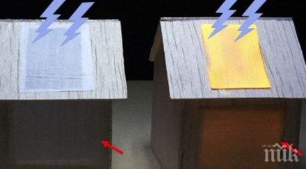 учени създадоха светеща дървесина