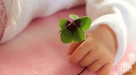 изграждат стена радостта великотърновската областна болница