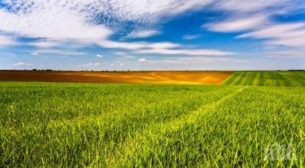 сушата свали цената нивите добруджа