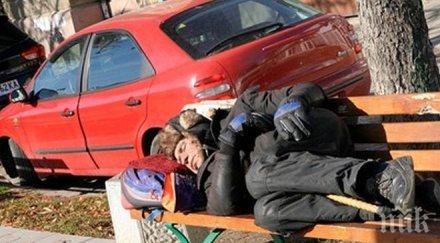 общинският приют варна пълен всички новодошли бърз тест covid