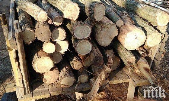 Полицаи спретнаха гонка с бракониери във Врачанско, нарушителите хванаха гората