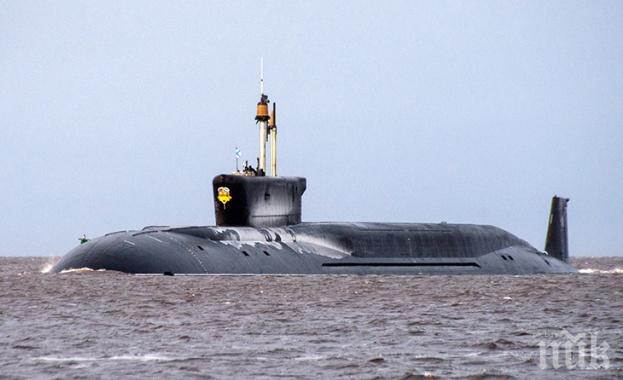 Застреляха мечка и малкото и, щурмували руска подводница (ВИДЕО)