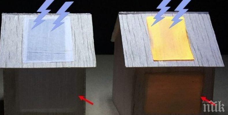 Учени създадоха светеща дървесина