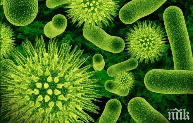 САЩ чупят трети пореден ден рекорда за новозаразени с коронавируса