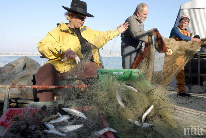 Стартират приеми по две мерки от Програмата за морско дело и рибарство за 8,7 млн. лв.