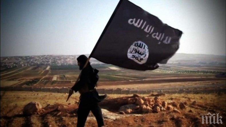 Заловиха в Турция издирван от американското разузнаване терорист от Ислямска държава