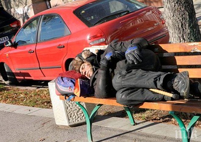 Общинският приют във Варна пълен на 50%, всички новодошли - през бърз тест за COVID-19