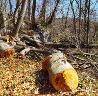 Бракониери пребиха 61-годишен, трошат му и колата 