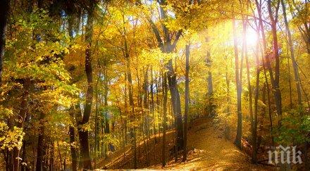 астрология ноември опасен конфликтен ден никакъв случай подстригвайте