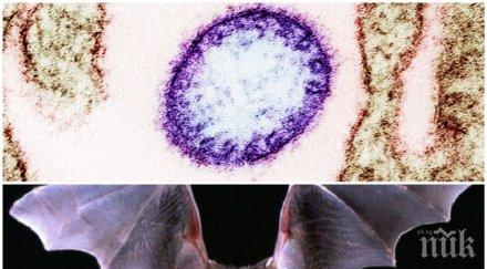 шокиращо нов вирус убиец набира сили азия умират трима четирима заразени